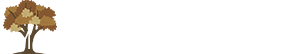 Matthews Family Reunion 2025